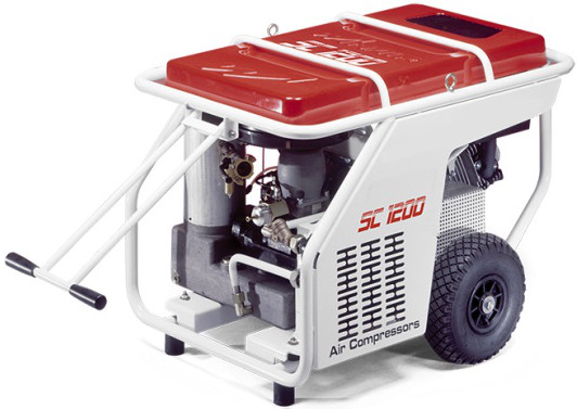 Compresseur Thermique Essence 11,7CV à Vis